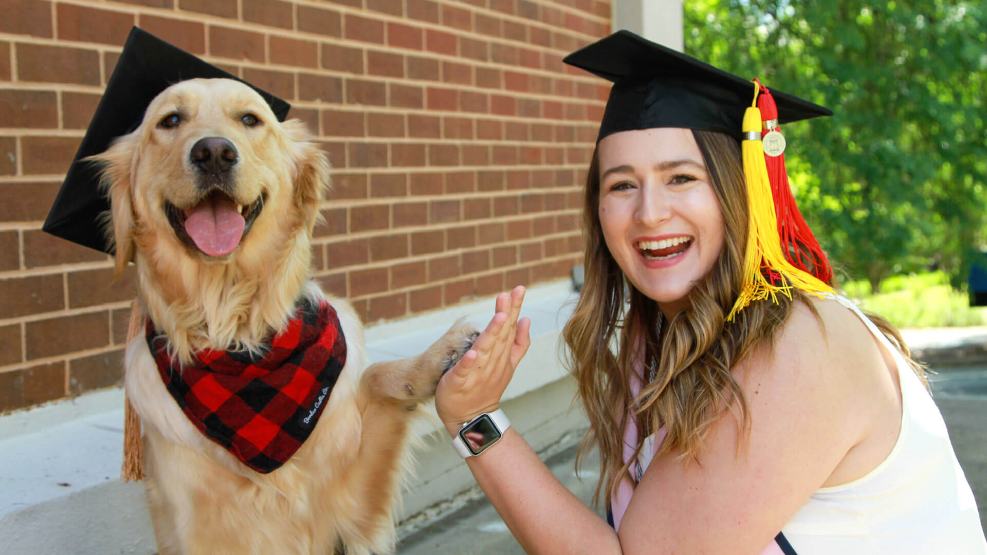 Abby Queen high-fives her dog, with both wearing graduation caps