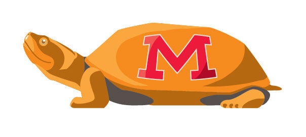 MD Day Turtle