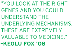 Fox Quote