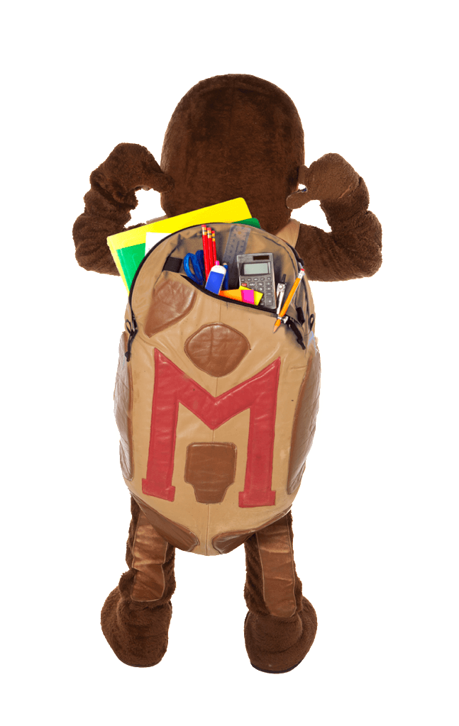 Testudo with Backpack