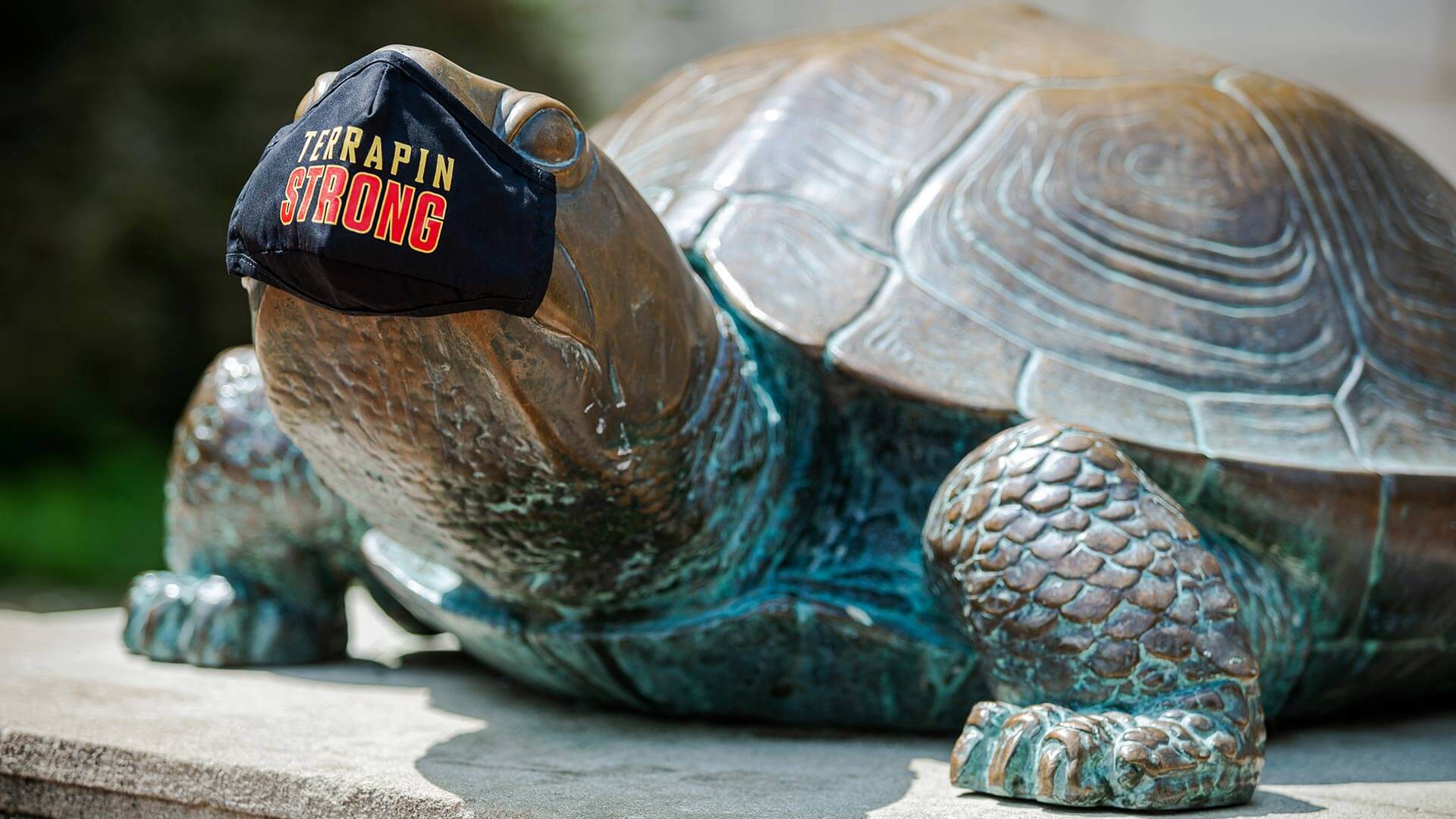 Testudo statue in Terrapin Strong mask